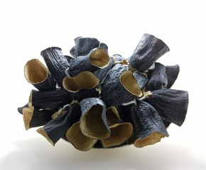 Nazilli Burun Patlıcan