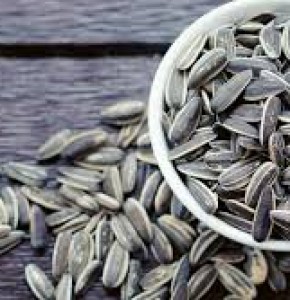 Kavrulmuş Tuzsuz Siyah Çekirdek